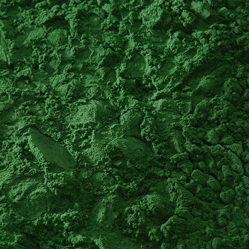 新岩 椿緑青 - pigment.mom