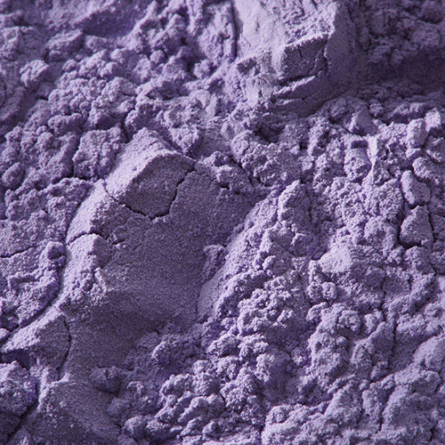 新岩 藤紫 - pigment.mom
