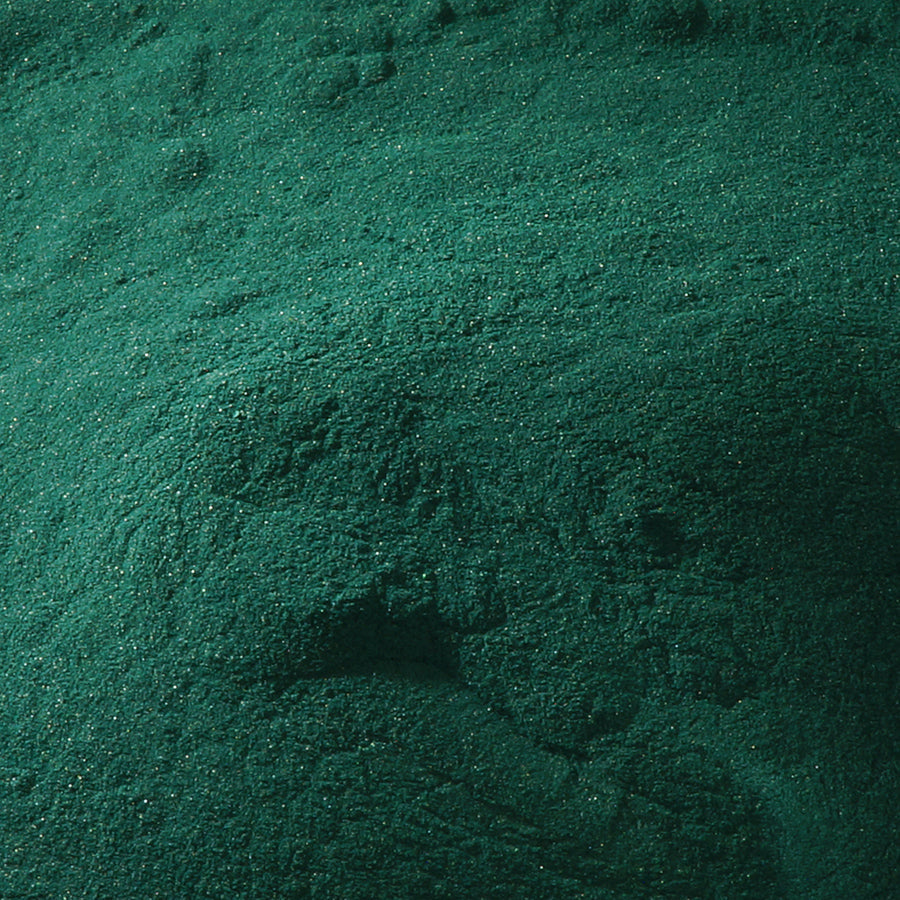 吉祥 32 黒群緑 - pigment.mom