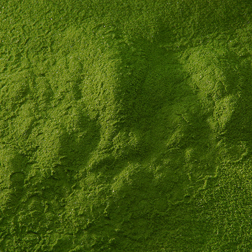 新岩 鶯緑青 - pigment.mom