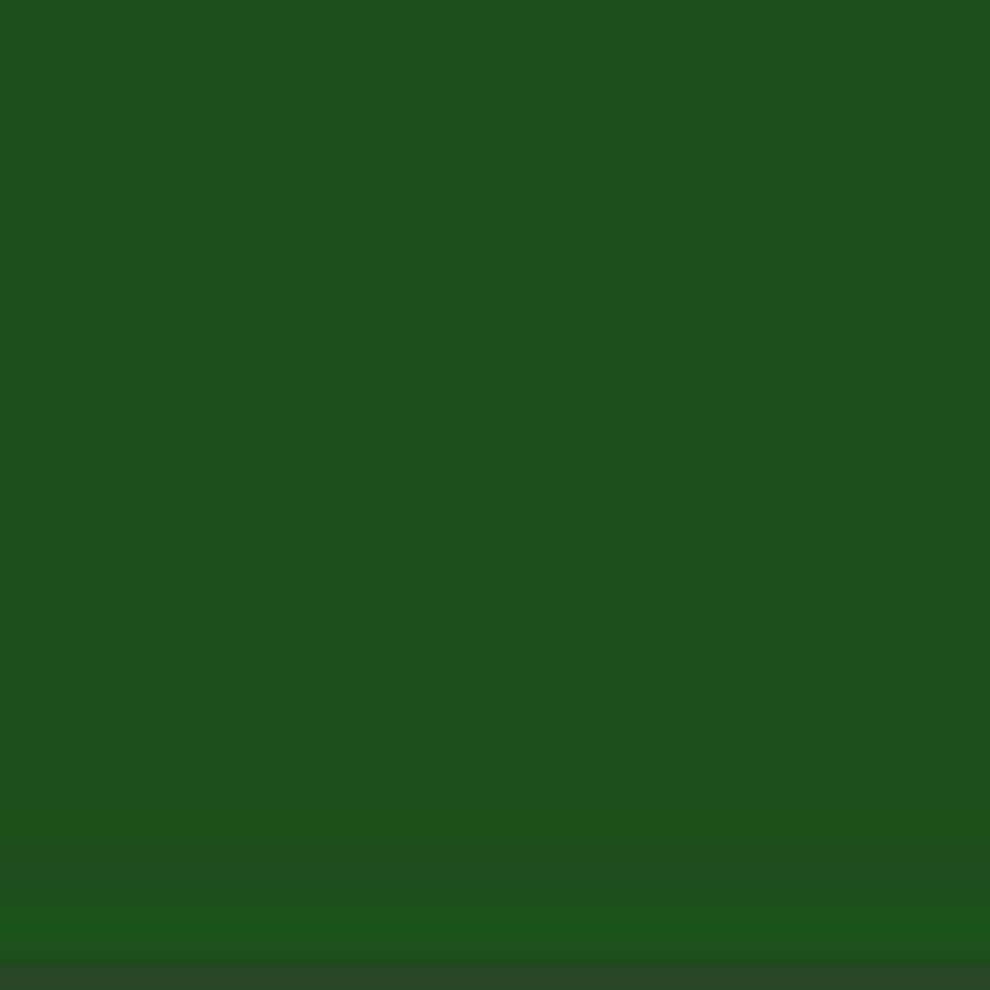 アクリル絵具 サップグリーン - pigment.mom