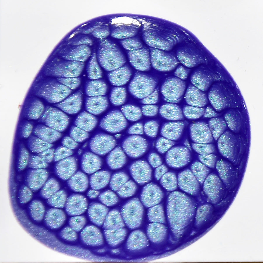 プリズム マリーナ No,38 - pigment.mom