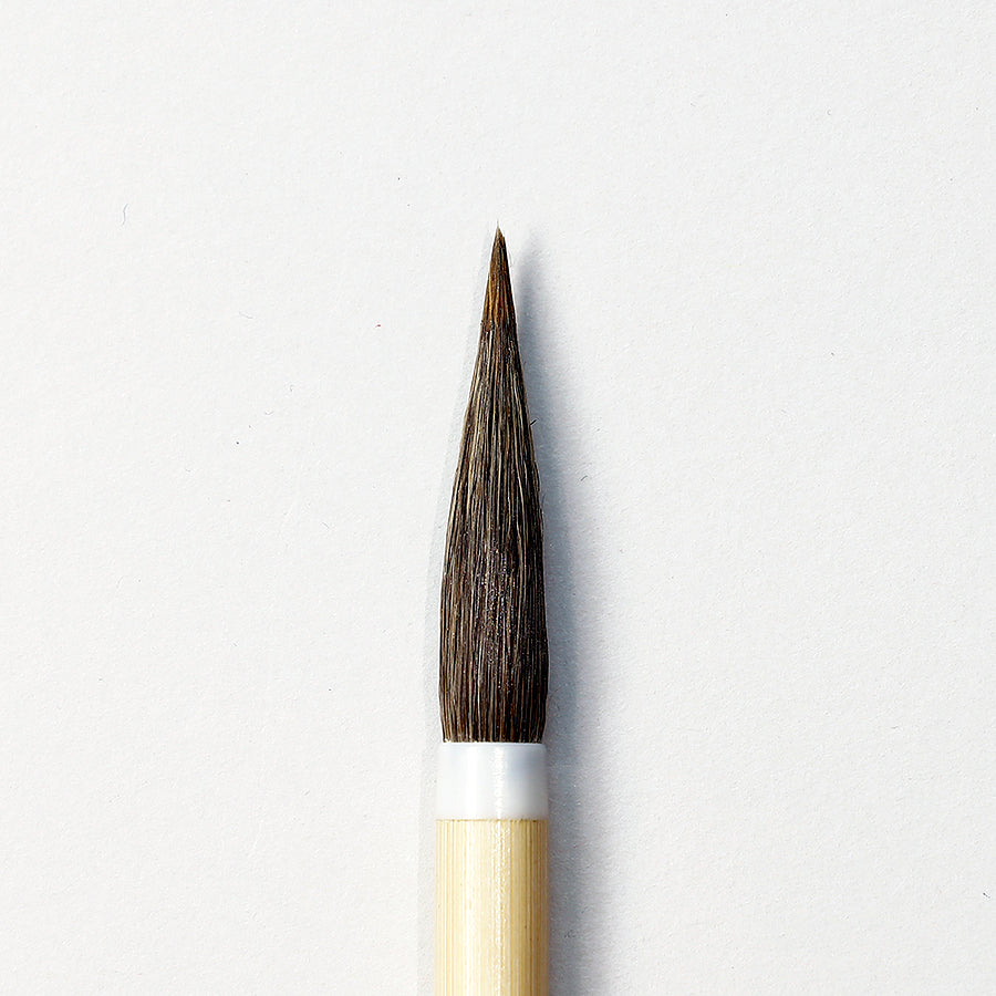 小筆 老松 - pigment.mom