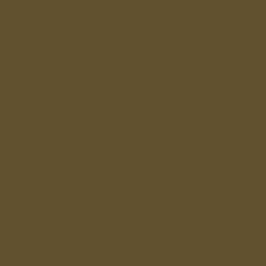 アクリル絵具 ローアンバー - pigment.mom