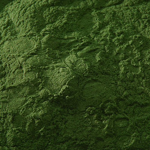新岩 焼緑青 - pigment.mom