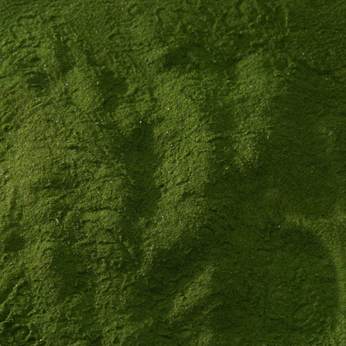 新岩 古代緑青 - pigment.mom