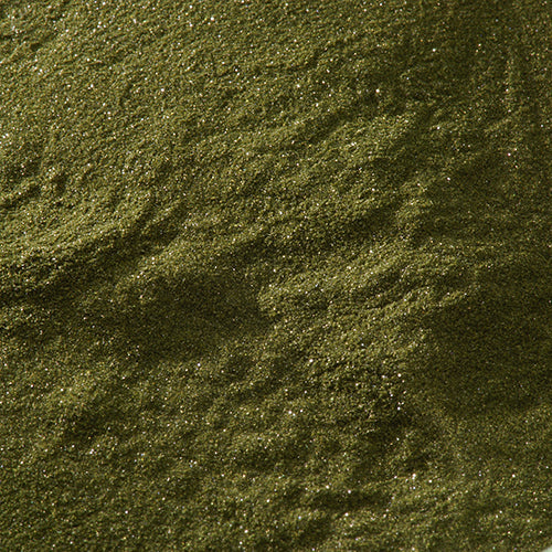 天然 杉葉色 - pigment.mom