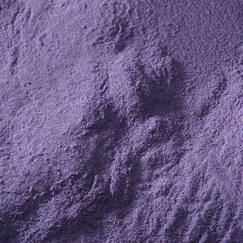 新岩 藤紫 - pigment.mom