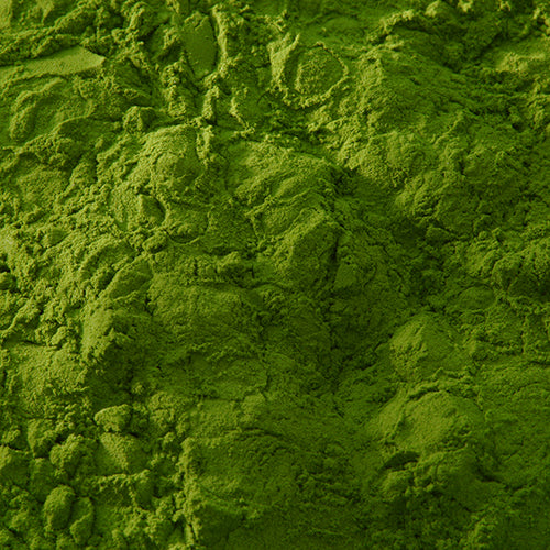 新岩 鶯緑青 - pigment.mom