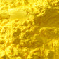 新岩 山吹 - pigment.mom