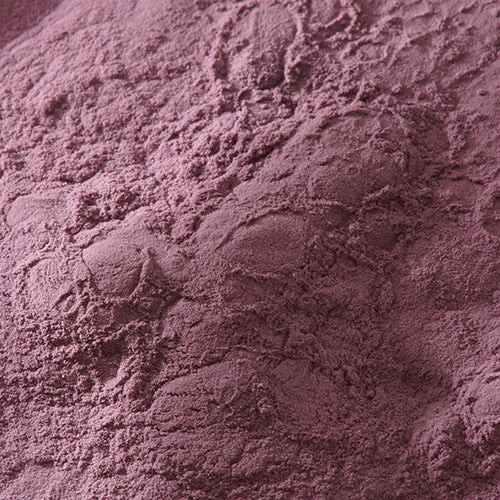新岩 岩紫 - pigment.mom
