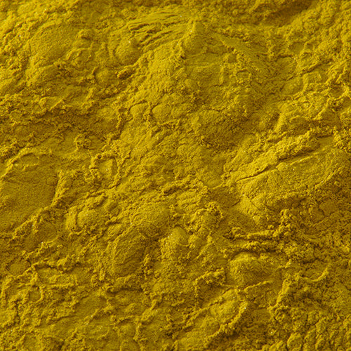 新岩 枯葉 - pigment.mom