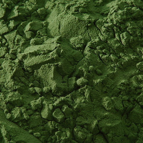 新岩 焼緑青 - pigment.mom
