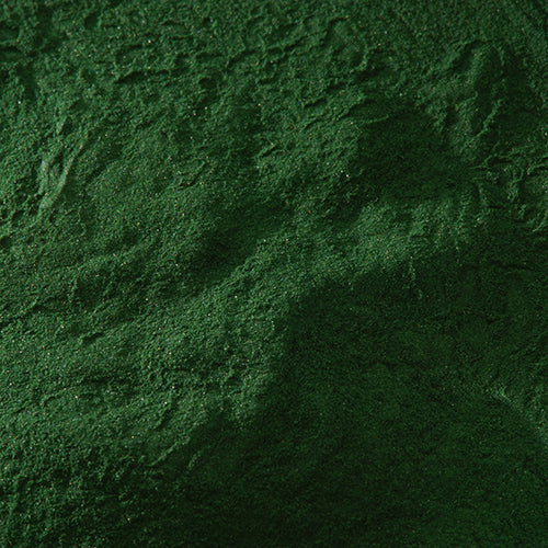 新岩 椿緑青 - pigment.mom