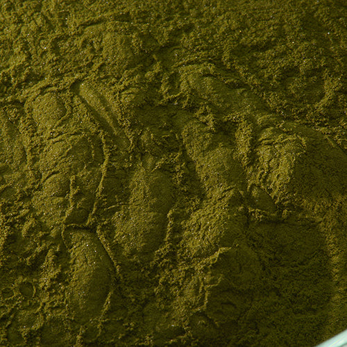 新岩 鶯茶緑 - pigment.mom