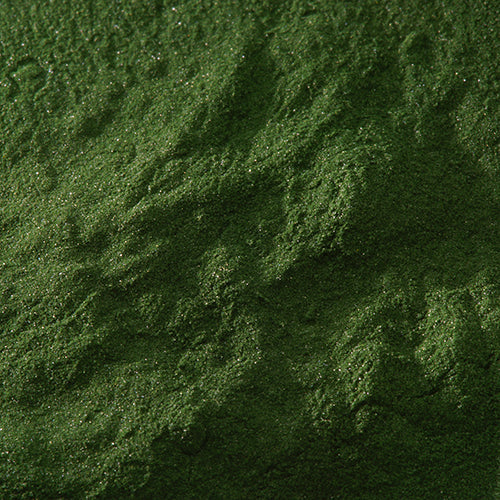 新岩 焼緑青 - pigment.mom