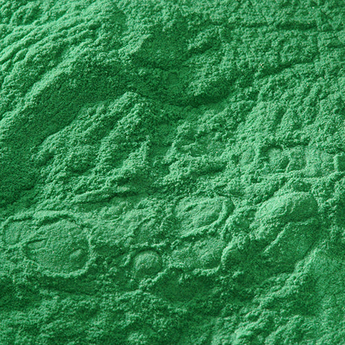 京上 松葉緑青 - pigment.mom