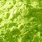 吉祥 67 若葉黄口 - pigment.mom