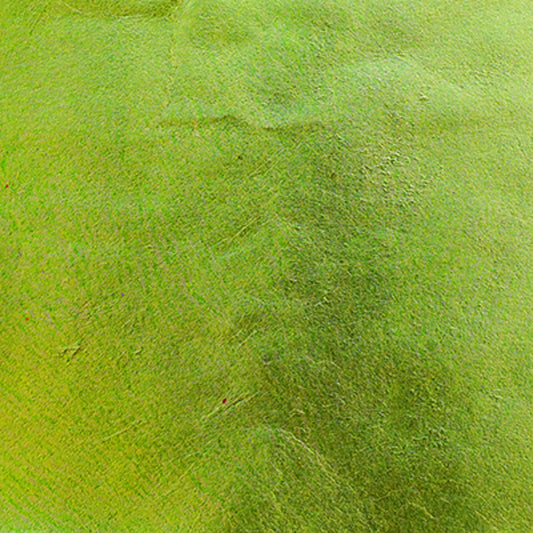 新光箔 No.19 青竹色 - pigment.mom