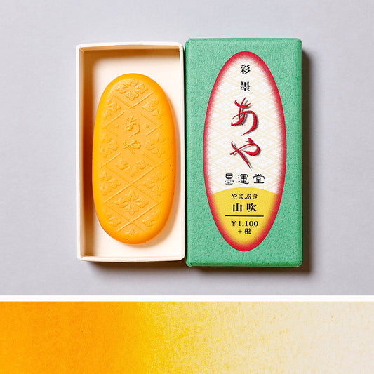 彩墨　あや　山吹 - pigment.mom